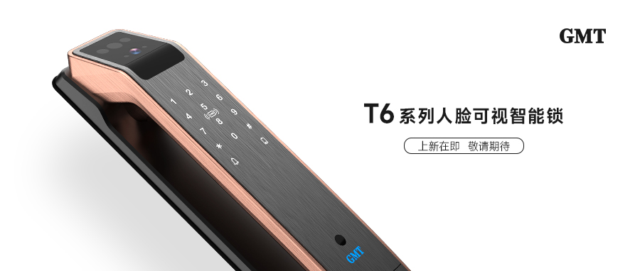 T6系列人脸可视智能锁 上新预告
